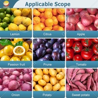 ORME Automatische Tomaten-Aardappel Sorteermachine Kleine Groente Sorteermachine Appel-Olijf Reinigings- en Sorteermachine