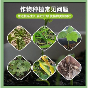 300 ml - Product Image 4