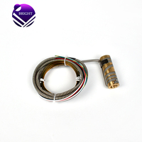 BRIGHT Personnalisé 28V CC 300W 12*55mm Chauffe-sonde électrique en laiton pour canal chaud avec thermocouple de type K
