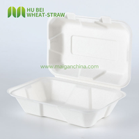 Boîte alimentaire jetable compostable en bagasse de canne à sucre, recyclable, 9x6 pouces, type clamshell, anti-fuite