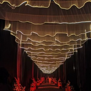 Cortinas de Techo para <span class=keywords><strong>Bodas</strong></span> con Luces LED en Forma de S, Decoración para Eventos y Fiestas, Precio de Fábrica, Gran Venta 2025 - Product Image 3