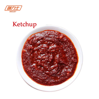 Ketchup biologique personnalisé à succès, sauce tomate, concentré de tomate, sauce ketchup, concentré de tomate