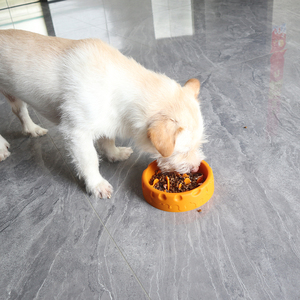 קערת סיליקון באיכות גבוהה מזון באיכות גבוהה האכלת האכלת כלבים חתולים - Product Image 4