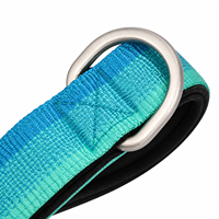 Collier pour chien étanche avec support intégré pour AirTag et GPS, réglable, réfléchissant, rembourré, avec anneau en D en alliage de zinc, tailles S à XL
