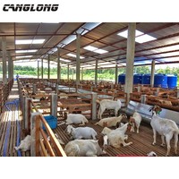 Structure en acier léger pour étable à moutons, ferme d'élevage de bovins, construction d'étable à vaches