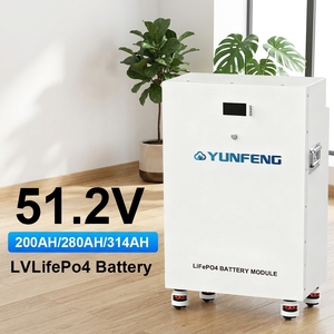 Batería LiFePO4 de 51.2V 314Ah 15Kwh 16Kwh en Stock en <span class=keywords><strong>la</strong></span> UE, Baterías de Litio de 280Ah 300Ah para Almacenamiento de Energía Doméstica, Paquete de Baterías para Almacenamiento Solar - Product Image 1