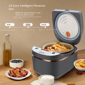 900W Intellint Digital arrocera taza medidora paleta ahorro de energía 5L Lar capacidad RV Manual fuente de alimentación multifuncional - Product Image 5