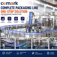 Ligne de production automatique complète 3 en 1 pour bouteilles PET, usine de production d'eau, comprend une machine de remplissage et de bouchage de bouteilles d'eau