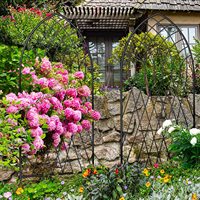 Treillis de jardin en métal noir de haute qualité pour plantes grimpantes, clôture de jardin, panneaux de treillis pour plantes de jardin