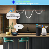 Module de relais intelligent Wi-Fi ZP avec télécommande sans fil RF 433 MHz, contrôle AC/DC 12V 24V 48V, 2 canaux, temporisation, 10A, compatible Alexa Google Home et apprentissage