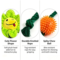Jouet à mâcher en corde TPR pour chien, balle à picots, jouet interactif pour nettoyer les dents, pour chiens de petite/moyenne taille, intérieur/extérieur