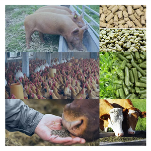 เครื่องอัดเม็ดอาหารสัตว์ไก่ขนาดเล็กเครื่องอัดเม็ดอาหารปลาแบบลอย - Product Image 2