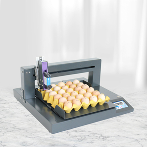 Thương mại đầy đủ tấm trứng máy in phun ngày sản xuất/Số lô/nhãn hiệu khay tự động mã hóa máy - Product Image 2