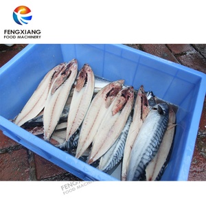 เครื่องแล่เนื้อปลาอัตโนมัติ FGB-170 สำหรับปลาทิลาเปีย ปลาคอด ปลาไวท์ฟิช และปลาเทราท์ - Product Image 4