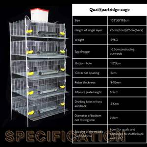 <span class=keywords><strong>Cage</strong></span> à 6 couches pour <span class=keywords><strong>cage</strong></span> de caille commerciale de grande capacité - Product Image 2