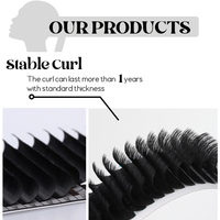 SP EYELASH Marque Privée 0.07mm C D M L Curl Plateaux de Cils Classiques Noir Mat Velours Faux Vison Extensions de Cils Individuelles