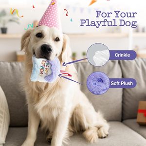 NIBAO <strong>Dog</strong> Happy Birthday Cake Toy with Crinkle, Stuffed Plush Puppy <strong>Present</strong> for Birthday Party, <strong>Dog</strong> Toy for Small Medium - Product Image 5