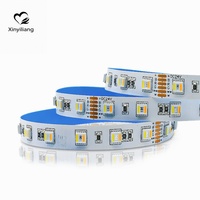 Lampu Strip LED RGB 5 in 1 yang Dapat Diprogram DC24V 5050 60LEDs/m 90LEDs/m IP65/IP68 WS2811 Addressable /Kontrol Suara Wi-Fi RGBWWW