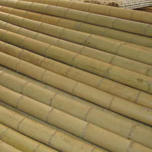 Hochwertige große Außen konstruktion Moso Bambus stange groß für den Bau großer Bambus stangen - Product Image 5