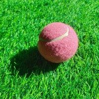 Balle de tennis d'entraînement rose durable et résistante, élastique de 1,2 m, sans norme, pour la pratique et les matchs, jouet pour animaux de compagnie, en stock