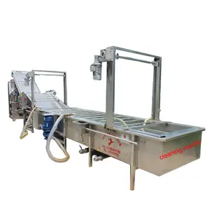 Máquina de preparação de raisins secas completas, máquina removedora de raisin para remoção de raisins, ásia ocidental