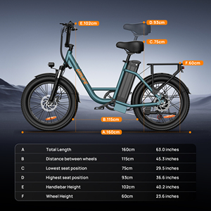 Vélo de ville électrique E20 avec moteur arrière sans balais, batterie au lithium 48V, 7 vitesses, pneus larges de 20 pouces, haute puissance, disponible en OEM/ODM - Product Image 4