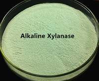 Enzyme Xylanase alcaline en vrac pour la vente en gros