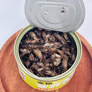 Grillos Blancos Enlatados Orgánicos - Proteína de Insectos Natural y Sin Aditivos para Mascotas - Product Image 6