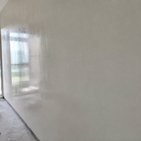 Apprêt mural anti-moisissure et anti-alcali transparent, couche de base d'étanchéité pour usage intérieur/extérieur sur ciment, enduit, brique, revêtement imperméable