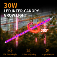 Lampu LED Spektrum Penuh untuk Hidroponik, Tenda Tanam, Bibit, Vegetatif, Berbunga, Semua Tahap Pertumbuhan, Dapat Diredupkan 0-10V
