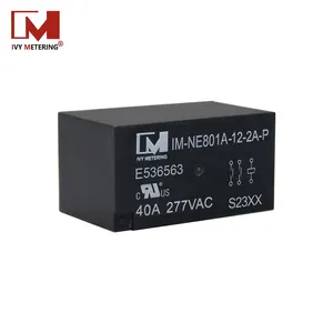 IM-NE801A IEC61810-1 40A 12VDC 2 Pole High Power PCB EV Charging Relay for Type 2 3PH 32A 22kW