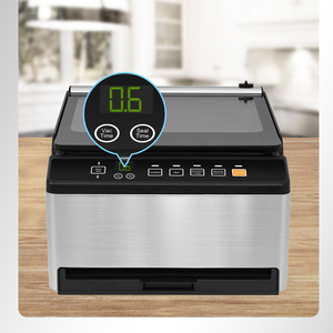 Scelleuse sous vide à double chambre 98 kPa pour aliments liquides, scelleuse sous vide commerciale, barre de scellage remplaçable de 11 pouces, CE/CB/ETL - Product Image 5