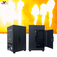 80W Mini Flame Fog Machine lumière LED blanc chaud LED scène de mariage DJ Party Club contrôle manuel DMX512 électronique flamme génie