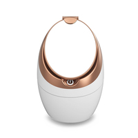 Uso en el hogar Nano Spray Facial Steamer Beauty Humidificador Steam Face Instrument con Hot Steam Car Application