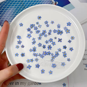 Blue Real Forget Me Not Natural Press Flores secas Myosotis <span class=keywords><strong>para</strong></span> la fabricación de joyas de resina, fabricación de velas y manualidades - Product Image 5