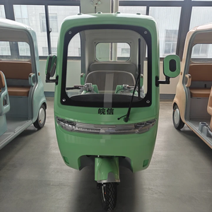 Electric <strong>Cargo</strong> <strong>Tricycle</strong> Enclosed Mobility <strong>Scooter</strong> <strong>Mini</strong> Car for Adult <strong>Truck</strong> - Product Image 1