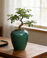 Pot Bunga Keramik Modern, Pot Bunga Elegan untuk Dekorasi Meja Samping di Rumah