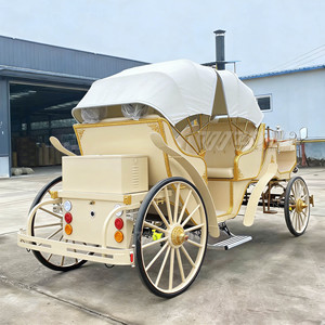 รถชมวิวไฟฟ้า รถชมวิวสไตล์วินเทจ รถโรงแรมชมวิว รถขนส่งพิเศษ - Product Image 4