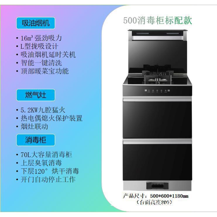 Armoire de désinfection pour cuisinière à gaz de 50 cm