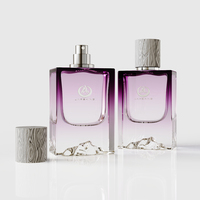 Design exclusif OEM Montagne Fond épais 50ml Flacon de parfum Vaporisateur de parfum en verre carré vide avec bouchon en bois
