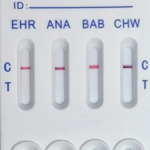 Pet Ehr Bab Ana Chw/Ana/Lym/Ehr Chw Lyme, Anaplasma,Heartworm, Erlichia Kit de prueba rápida