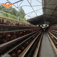 Offre Spéciale : Équipement d'élevage avicole pour 1000 oiseaux – Cages à poules pondeuses de type A en acier galvanisé pour la production d'œufs