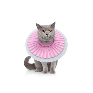 Mignon Chat Chien Cercle Cou Confortable E Collier Protection Des Blessures Pet Elizabeth Collier Accessoires