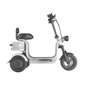 Triciclo <span class=keywords><strong>per</strong></span> pneumatici da 11 pollici grande cestino posteriore da 500w tricicli elettrici <span class=keywords><strong>per</strong></span> adulti Trikes Cargo Bike - Product Image 6