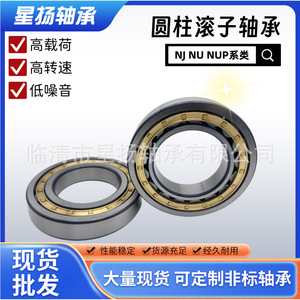 Roulements à rouleaux cylindriques NJ210EM, diamètre intérieur 50 mm, cage en laiton, précision P0, application pour boîte de vitesses - Product Image 5