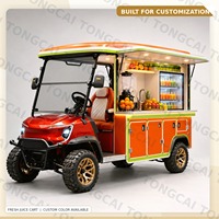TONGCAI Petit camion électrique à crème glacée, chariot à desserts mobile personnalisé pour sites touristiques