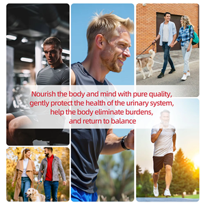 Sachets de tisane d'Uva Ursi prêts à l'emploi OEM ODM – Mélange naturel d'Uva Ursi et de pissenlit, végétalien, sans OGM pour le bien-être général - Product Image 6