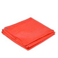 Bâche en polyéthylène imperméable renforcée, bâche de sol, tente de camping, housse de bateau et de voiture, rideau extérieur avec œillets