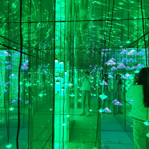 Amazing Magic Mirror <span class=keywords><strong>Maze</strong></span> à vendre \ <span class=keywords><strong>Crystal</strong></span> Labyrinth Mirror <span class=keywords><strong>Maze</strong></span> Manufacturer - Product Image 4