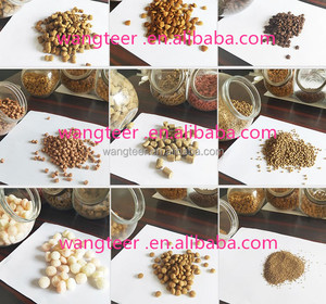 Fabrication en usine de machines extrudeuses pour la production de nourriture pour petits chiens en provenance de Chine - Product Image 2